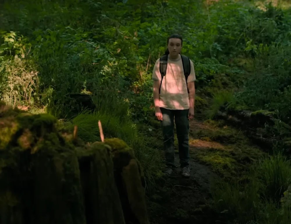 HBO har bekräftat att The Last of Us får en tredje säsong. Tillkännagivandet publicerades i kanalens sociala medier redan före premiären av den andra säsongen, som äger rum den 13 april.